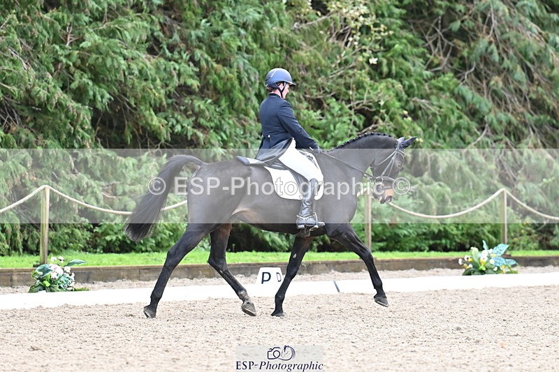 251023A-140142-05122 - C-243-Sam.Jennings