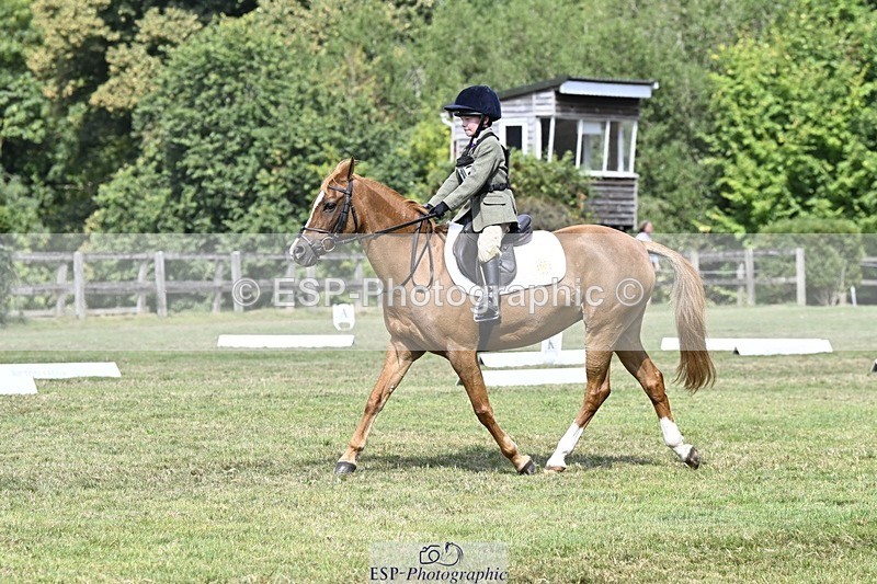 250822A-121208-22618 - DR 11.00 to 12.00