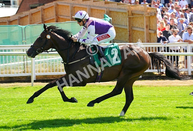 240726-Race 2-Blakey Ridge-01129 - Race 2 14.30pm Sky Bet For The Fans EBF Novice Stakes