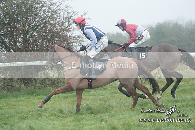 PtP 101223 429 - New Forest Hounds PtP Larkhill 10/12/23