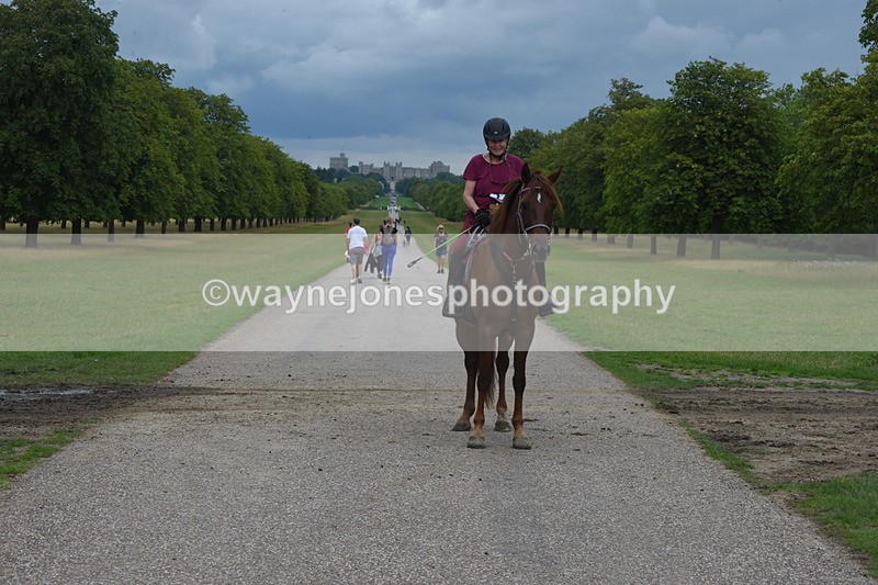 TT3_9379 - Time at Crossing 11:28 to 13:16