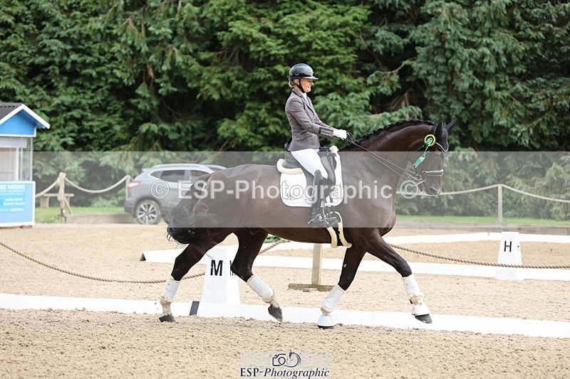 240810-132105-03306 - Medium Gold