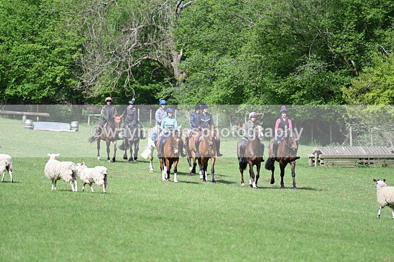 WJ7_2035 - Group 2 A&B Cameras