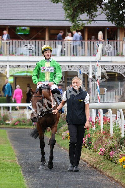 yr22072022r5-31 - Race 5 7.20pm British Stallion Studs EBF Lyric Fillies' Stakes