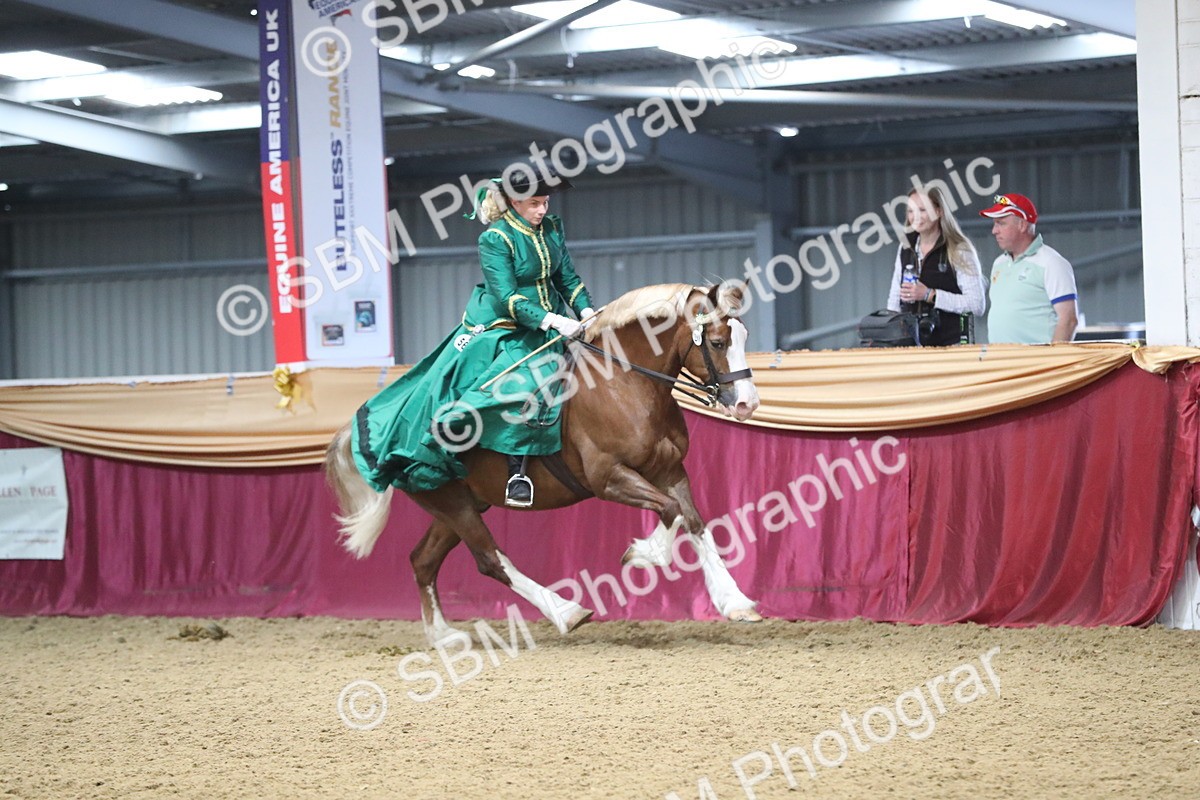 SBM_12128 - Class 107 Ridden Costume- Astride Adult (20+)