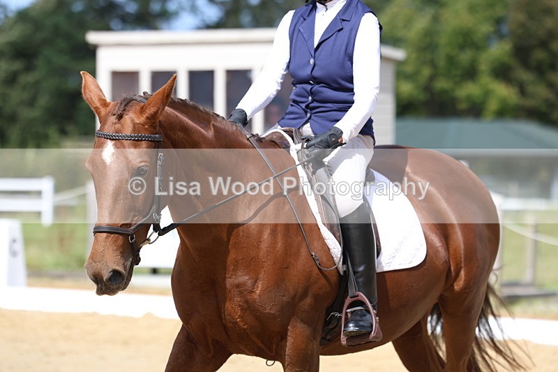 3E7A4032 - Class 9: Novice 6 Section B Championship