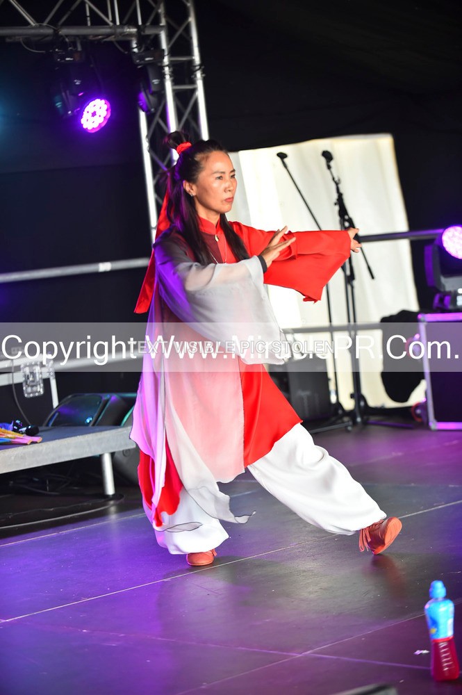 SH4_1466 - Tai Chi with Lisa Kay.