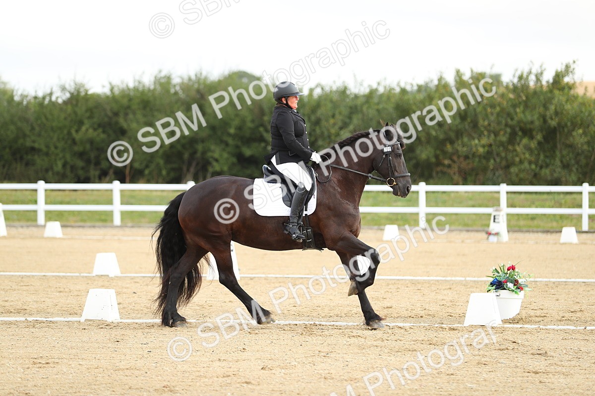 SBM_015047 - Class 13 - Novice 23 - 8,30-9.33