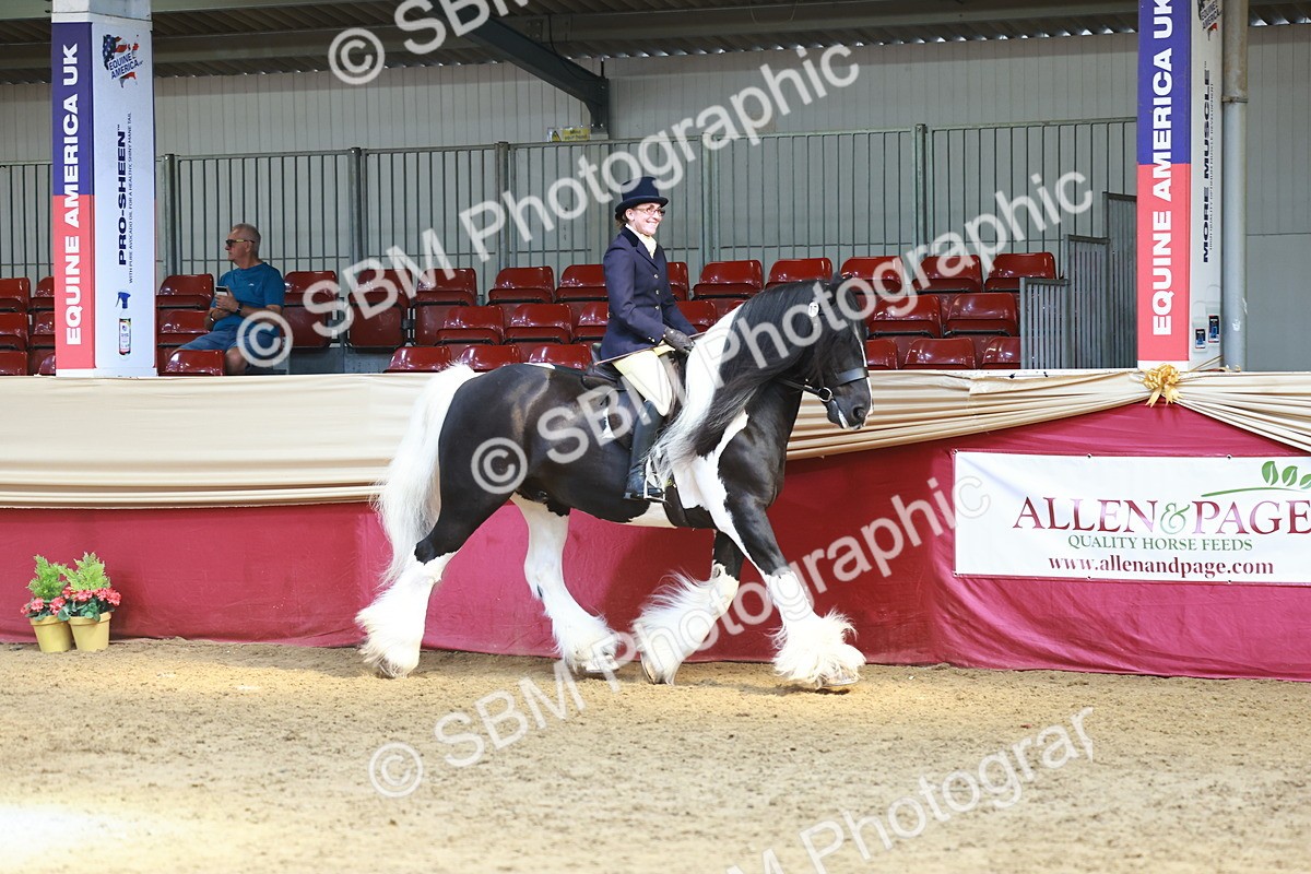 SBM_23299 - class 906 - Supreme Final - Ridden Pre Vet