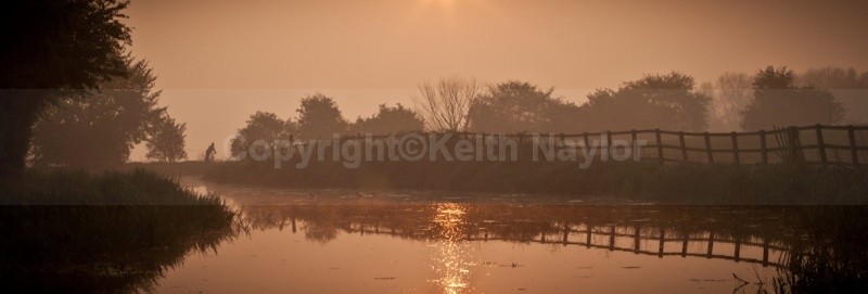 Ozone Dawn - Latest Work
