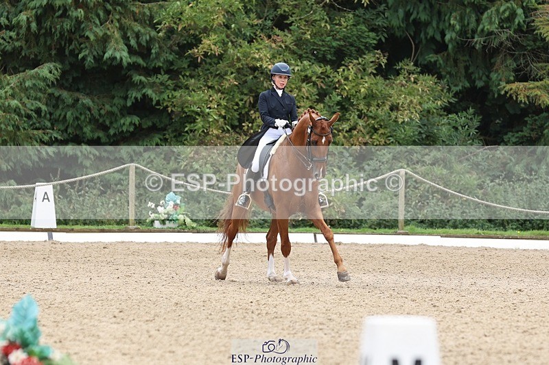 240810-133349-03336 - 188-Amanda.Towle.Shaw-Rockwood.Virtue