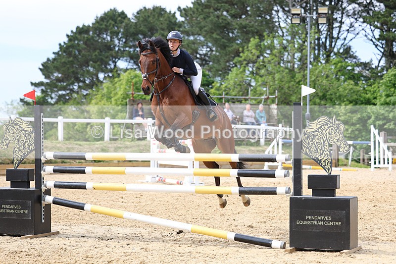 3E7A7685 - Class 8: Senior Foxhunter/1.20 open