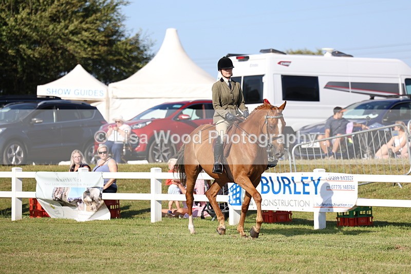 3E7A5526 - Class 2: Rising Star Large Hack/Riding Horse