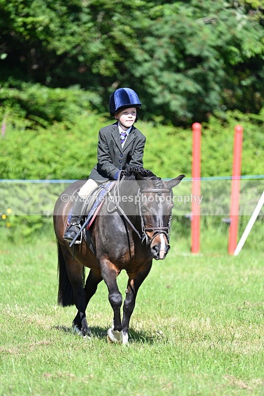 WJ7_0615 - Class 8 First Rally Pony