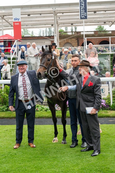 150524-Race 2-Aleezdancer-7091 - Race 2 2.45pm Churchill Tyres Handicap