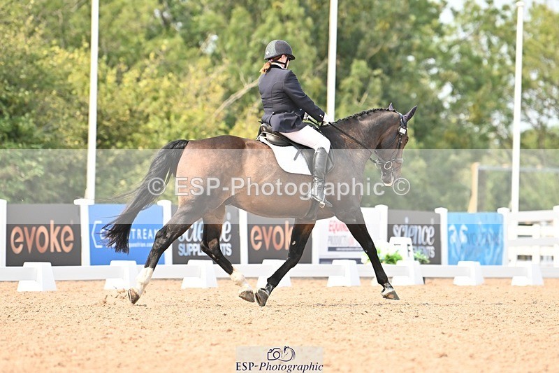 250816-150857-05769 - 130-Donna.BoydVagebond.vd.Withoeve.Z