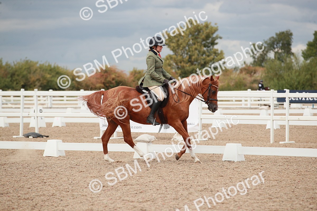 SBM_05993 - Class 32 - Novice 1