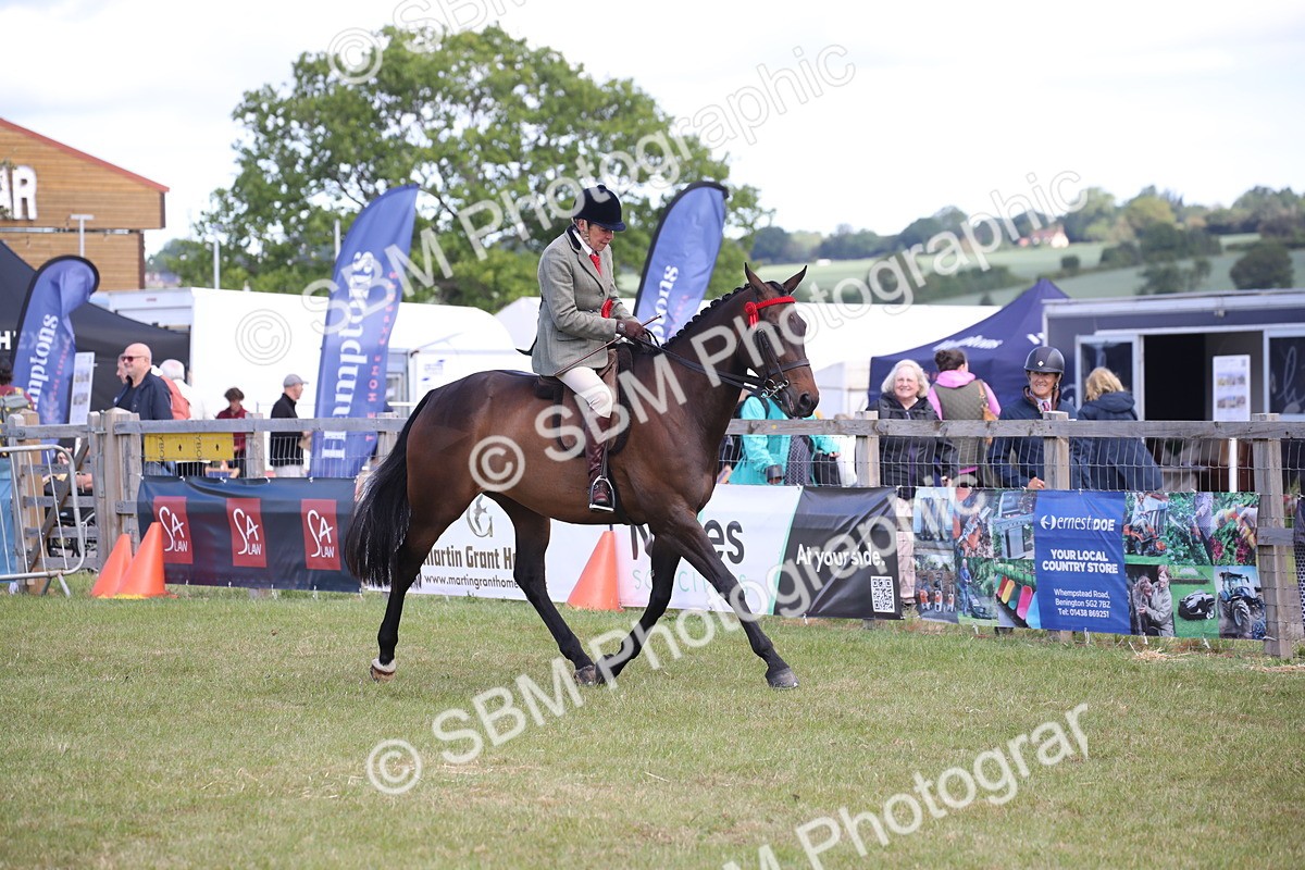 SBM_13281 - Class 95-96 - LIHS BSHA Rising Star Hack Riding Horse
