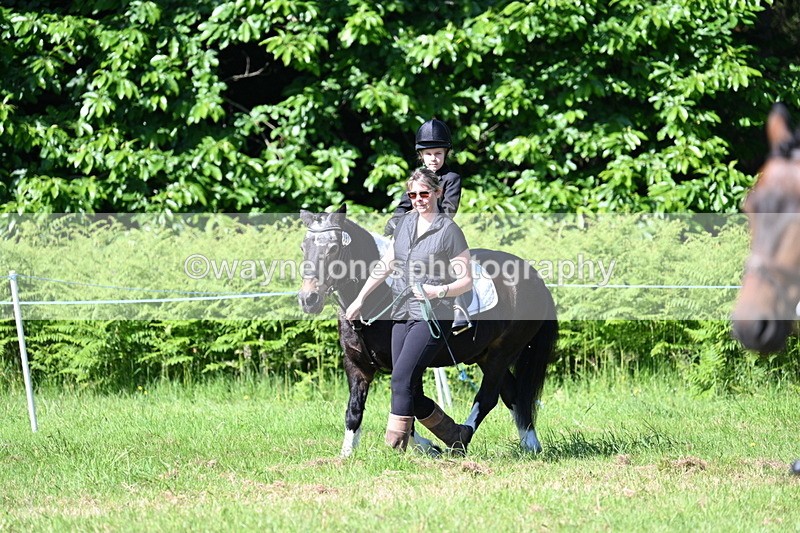 WJ7_0451 - Class 8 First Rally Pony