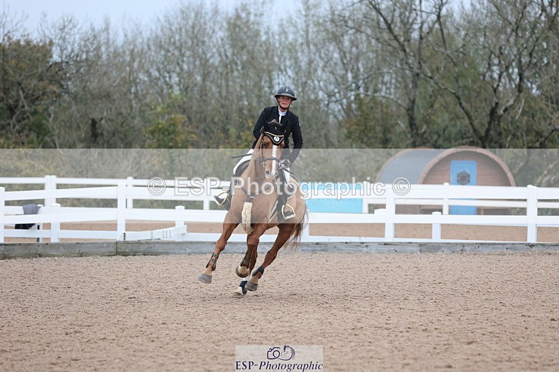 241101A-080212-00022 - FRI Cls 2 British Novice and 90cm Open