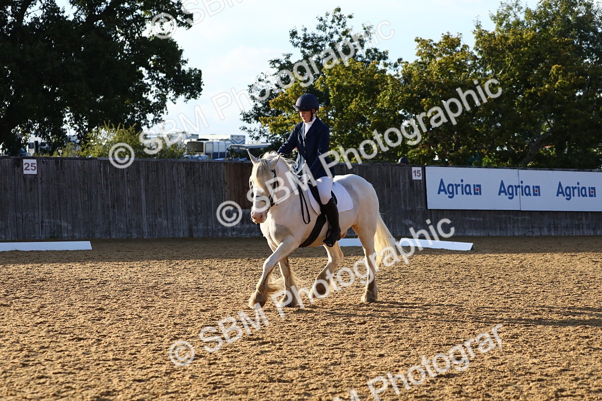 SBM_31667 - D11 - Small Tour Championship Prelim 1