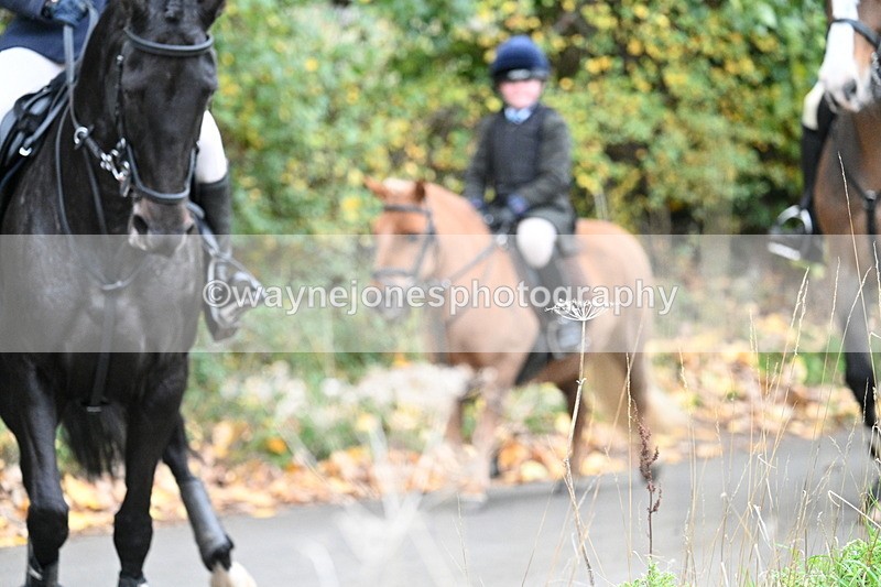 WJ7_7388 - Walk Home..