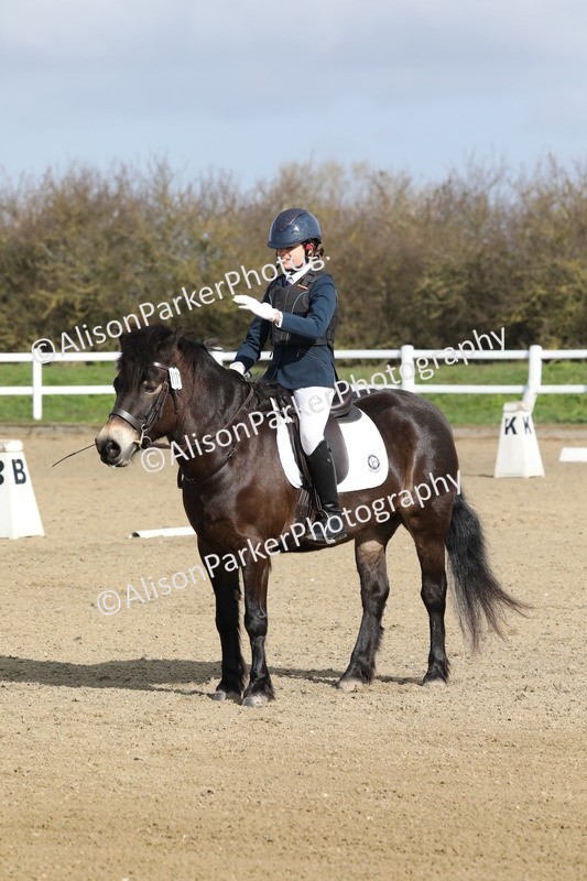 20260314-0233 - DR1 - Intro 1