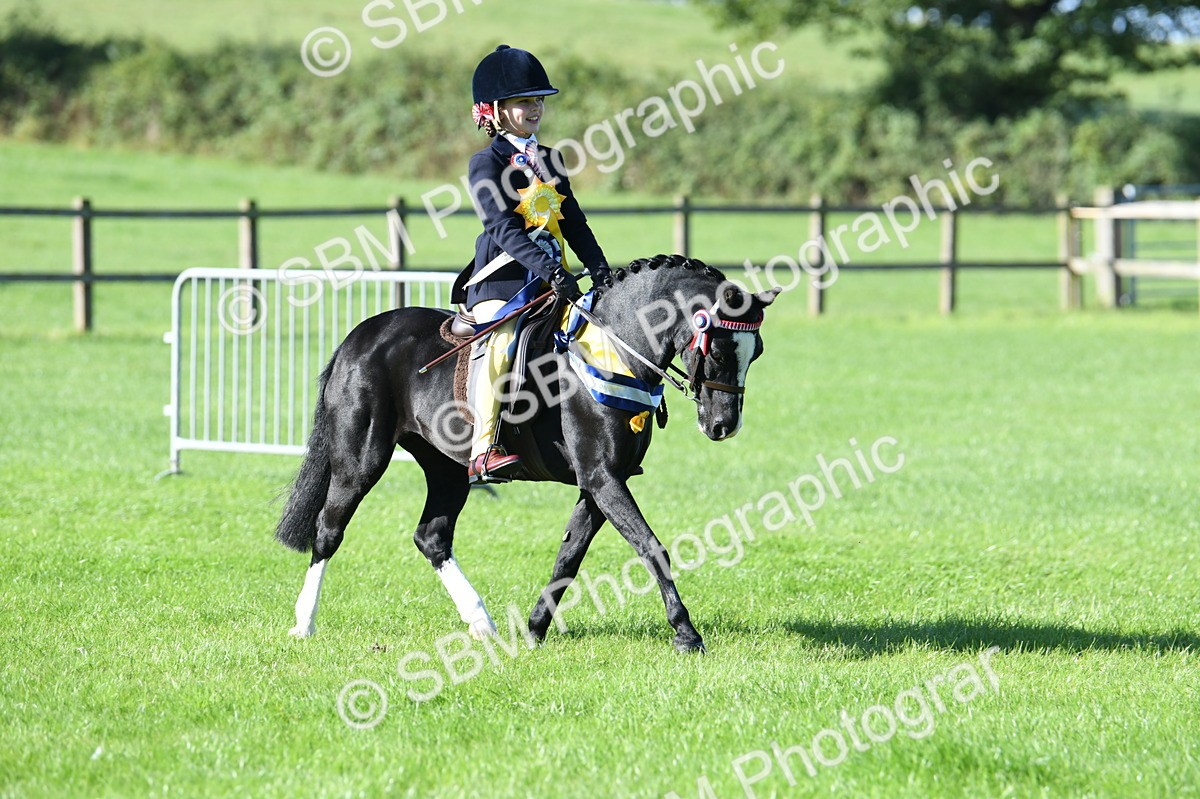 SBM_35618 - Top Turnout Supreme Championship