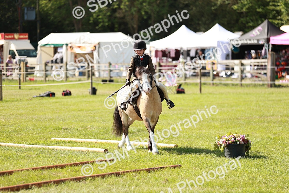 SBM_12693 - Class 106-107 - BSPS LIHS Working Sports Pony