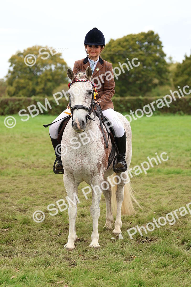 SBM_64676 - S58 - Coloured Pony Ridden