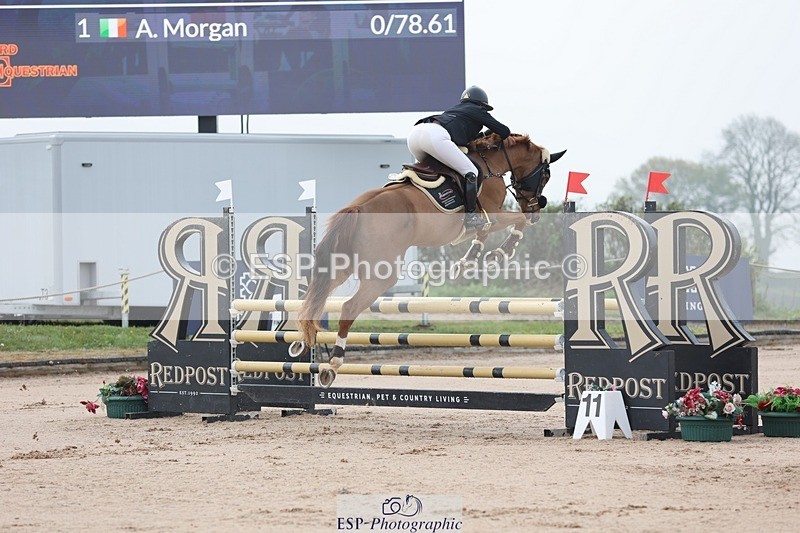 250424-083254-02373 - Cls 25 Young Horse 5yr old