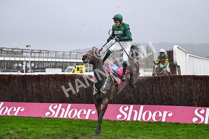 141125-Race 4-Matata-0437 - Race 4