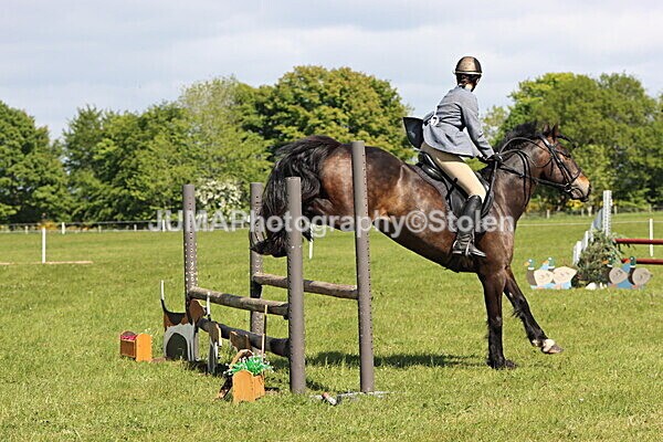 IMG_4530 - Working Hunter