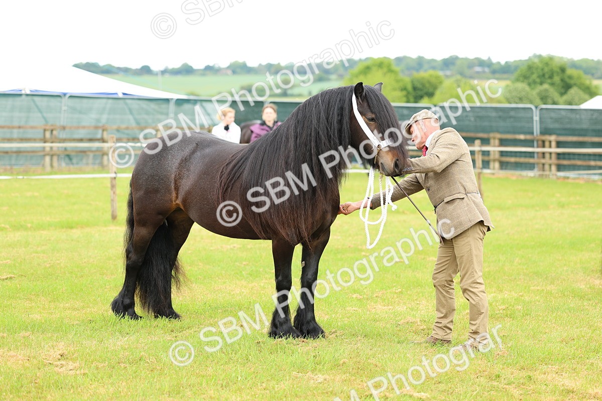SBM_00546 - Class 58-67 - M&M Non Welsh Pony In hand