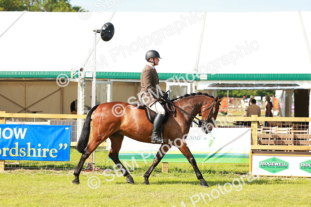 SBM_12011 - Class 66-69 - RIHS Ridden Hunters Inc Small Hunter