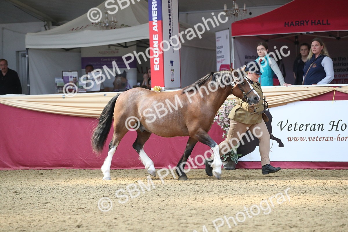 SBM_15218 - Class 501 M&M IH Supreme Final