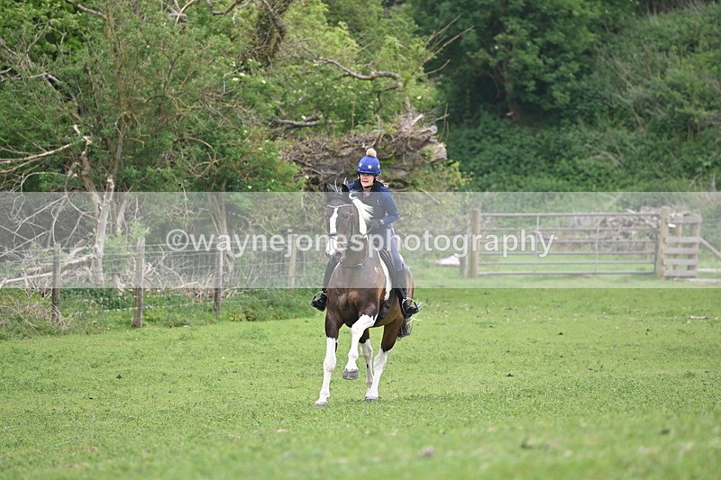 WJ6_2733 - Camera A