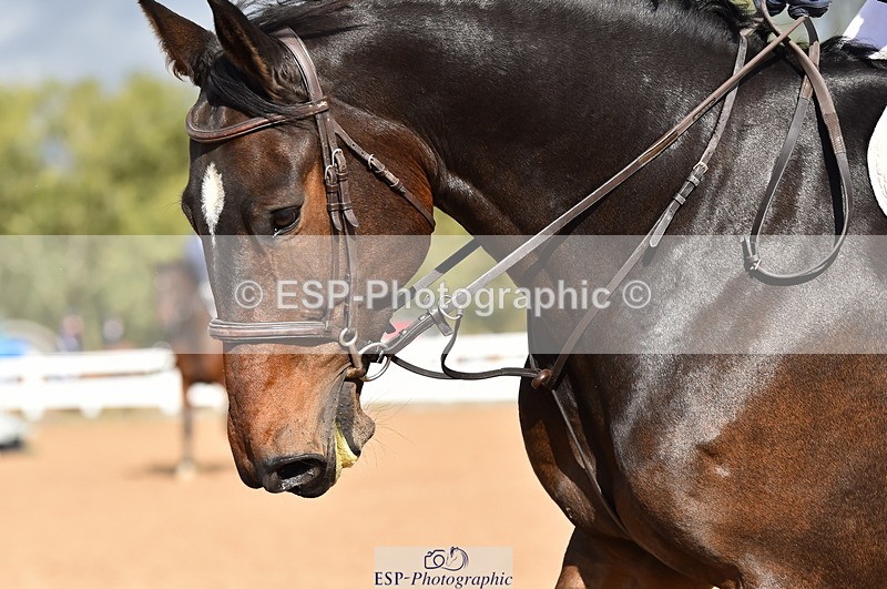 231014A-120130-04764 - Cls 14 95cm Grand Prix