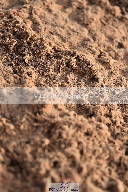 231203A-122744-01160 - Cls 6+7 BS 1.15m and 1.20m Open