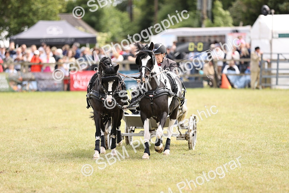 SBM_16066 - Class 91 - Scurry  exceeding 122cms