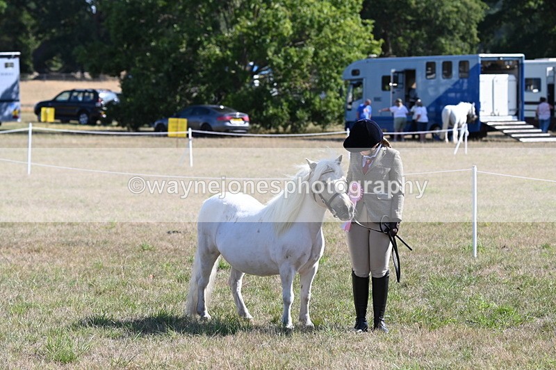WJ6_4355 - Class 16 Condition & Turn Out
