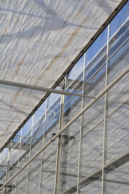 IMG_4558 - Manmade lines