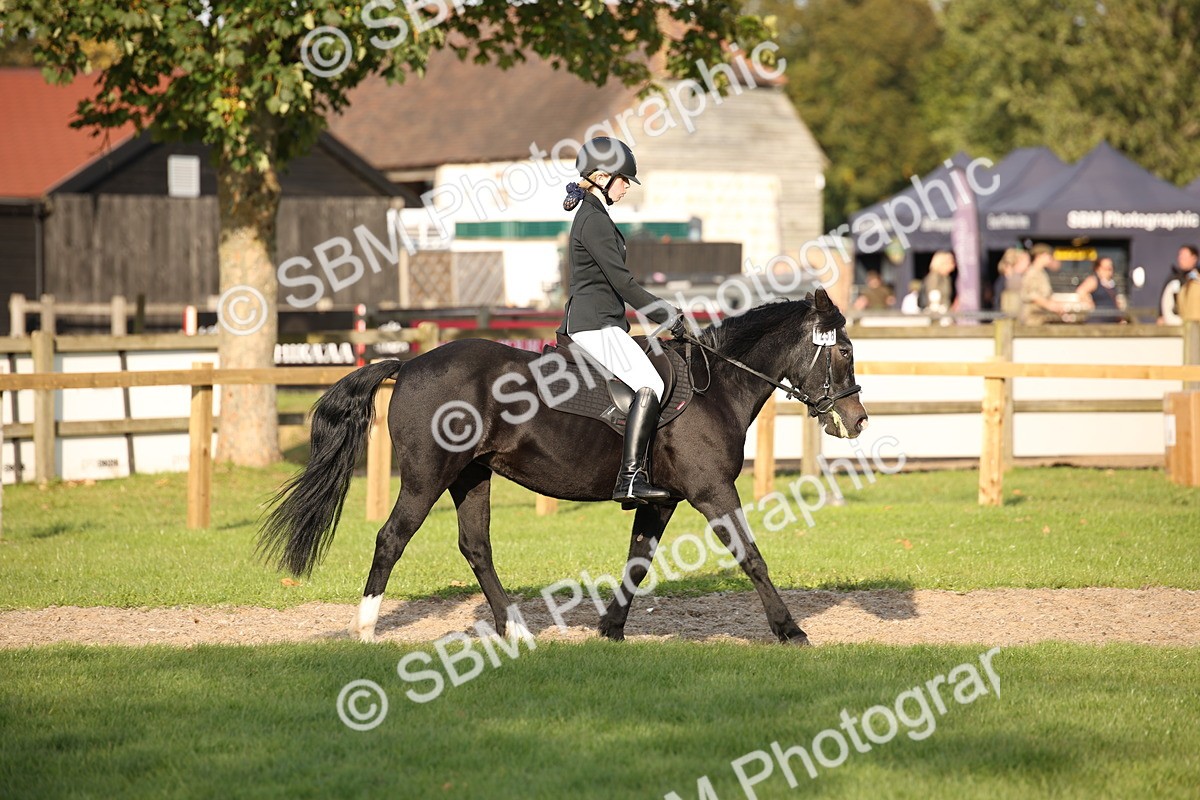 SBM_54318 - S27 - Mature Veteran - Ridden