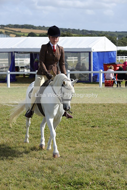 1X9A5751 - Class 40: NPS Welsh A & B