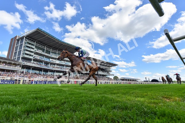 280625-Race 5-Turquino-5402 - Race 5 4.15pm Al Basti Equiworld Dubai Handicap