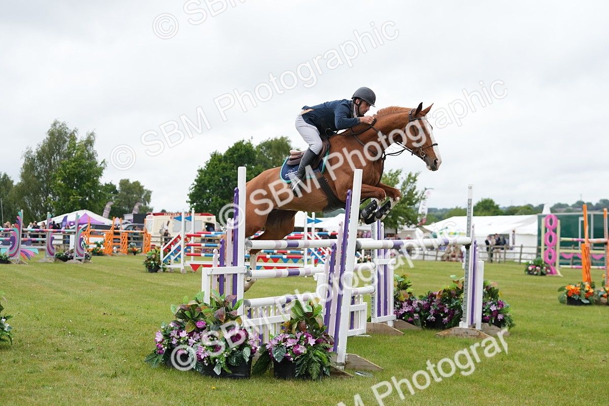 SBM_03461 - Class 201 - British Horse Feeds Speedi Beet Horse of the Year Show Grade  C