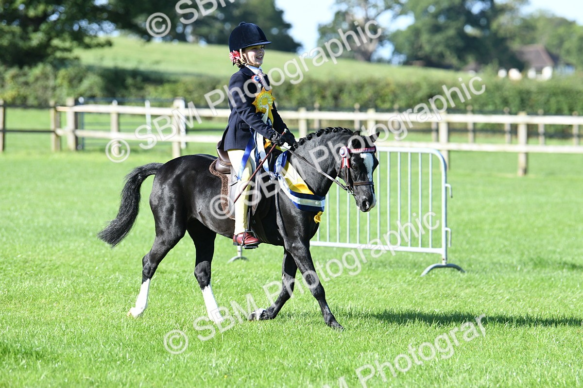 SBM_35619 - Top Turnout Supreme Championship