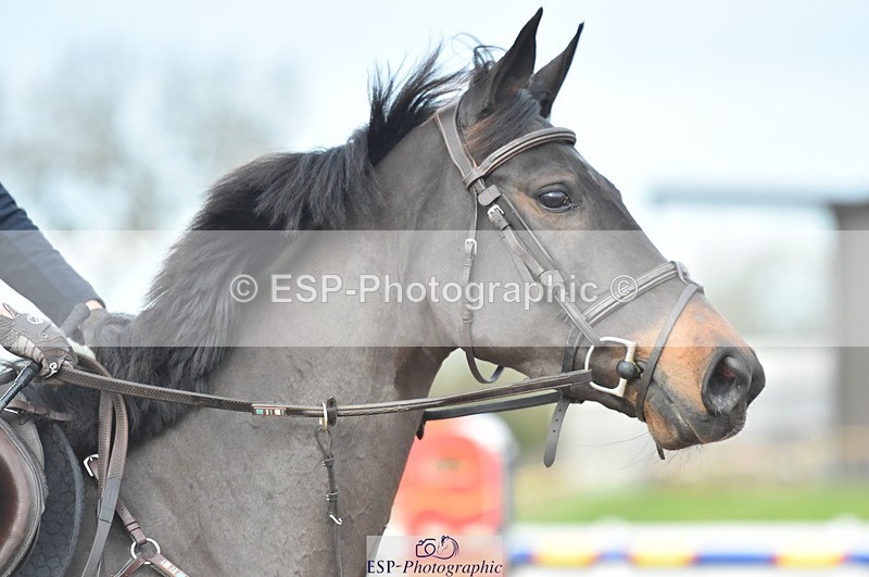 231111A-143956-02284 - Cls 14 Blue Chip 1.25m Winter Qualifier