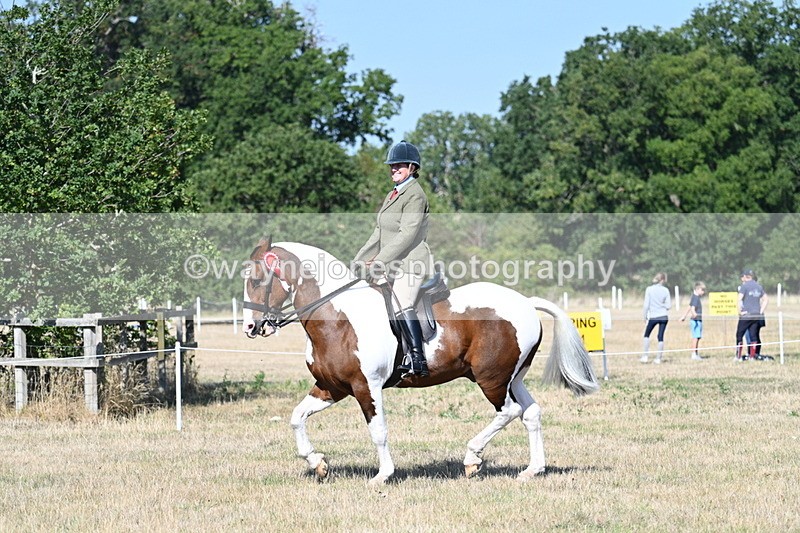 WJ7_3247 - Class 8 Ridden Tack & Turnout