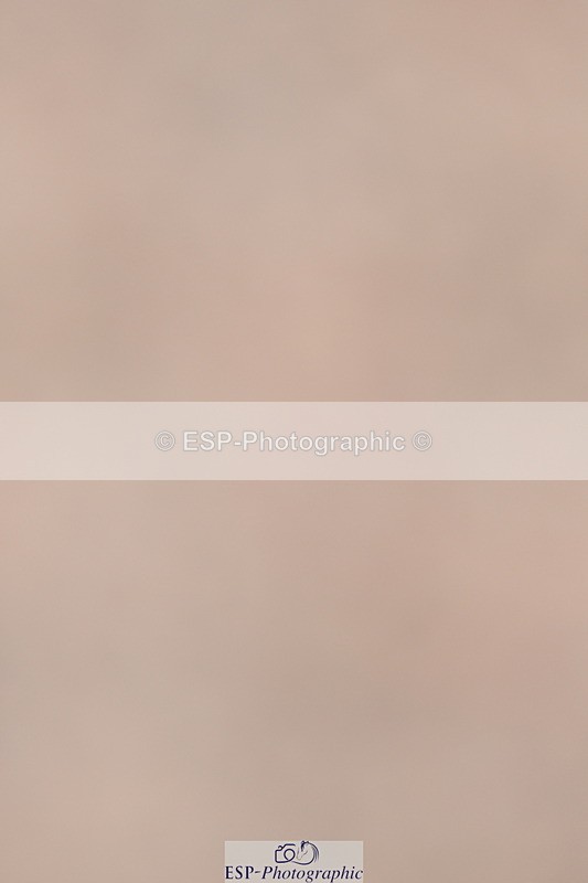 240628A-170817-01631 - Cls 5 Stepping Stones 128cm + 138cm